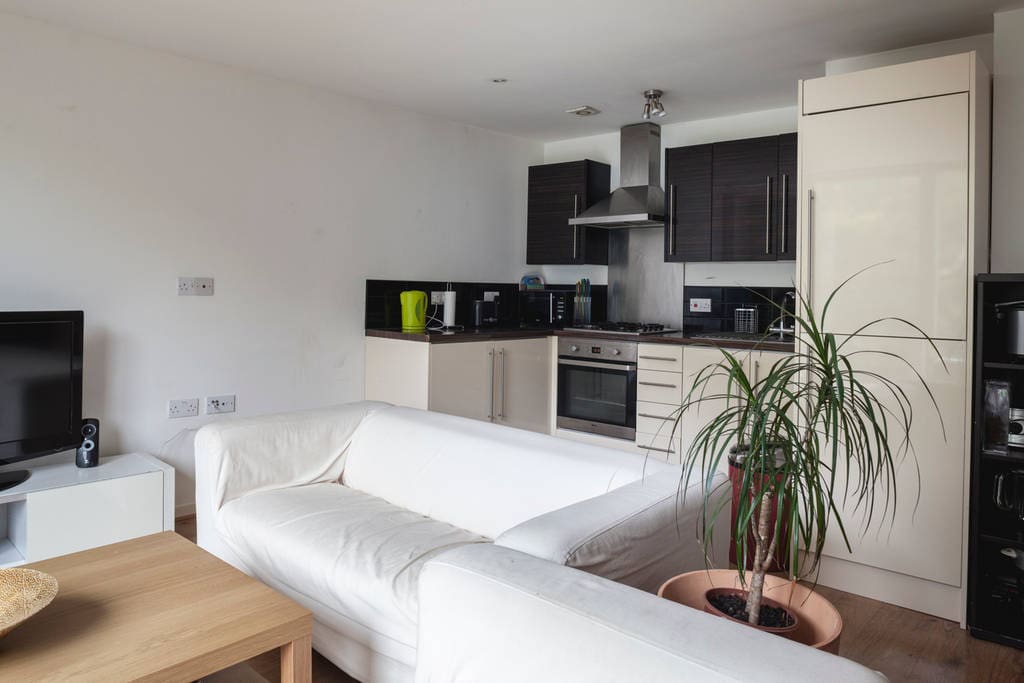 Living room / Kitchen