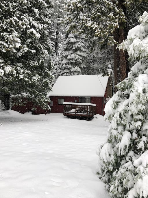 Back of cabin in winter