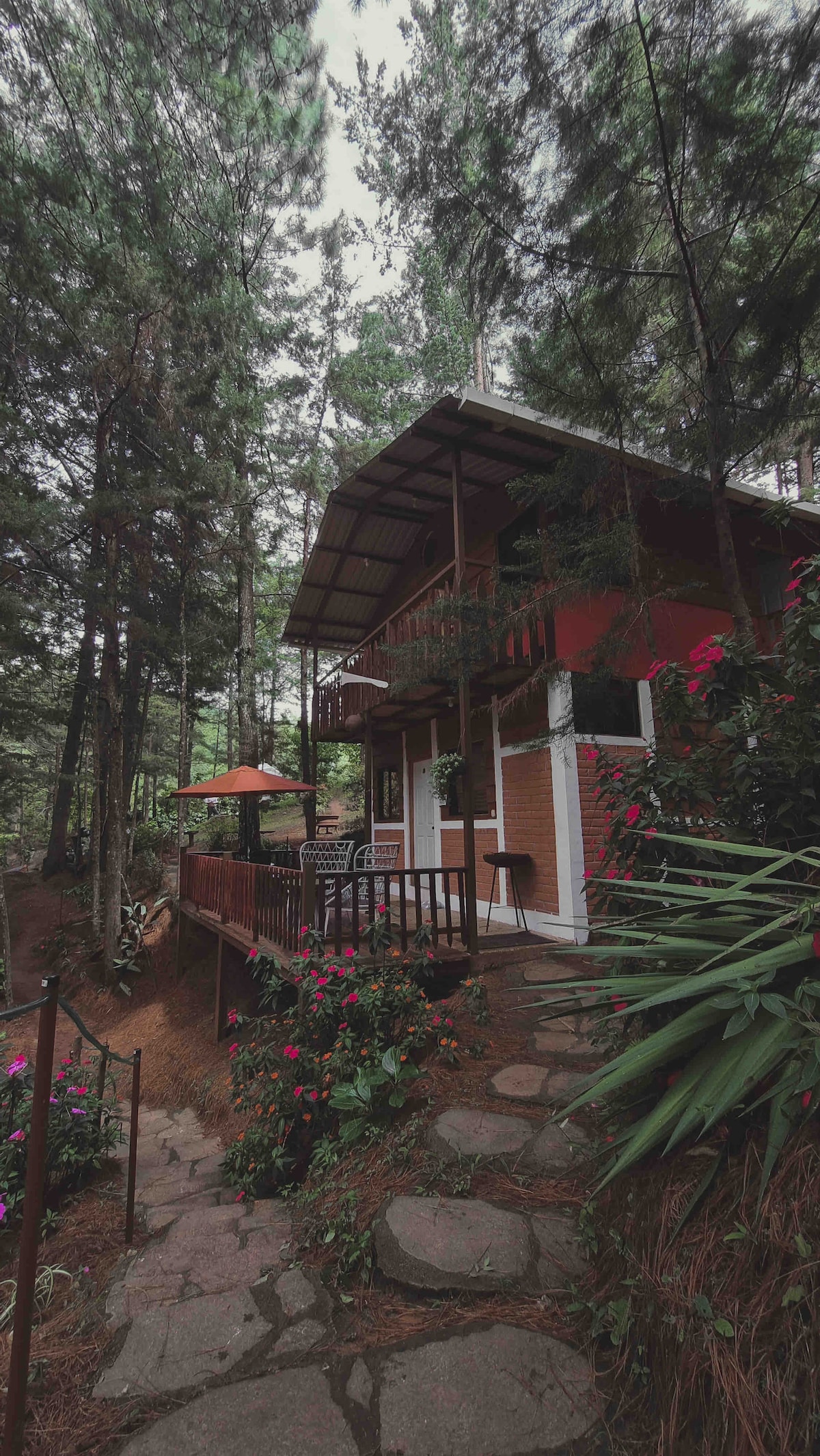 A charming cabin is nestled among tall trees, featuring a cozy porch with a shaded umbrella. A stone path leads to the entrance, surrounded by colorful flowers and lush greenery. The cabin's warm color contrasts with the natural surroundings, inviting exploration.