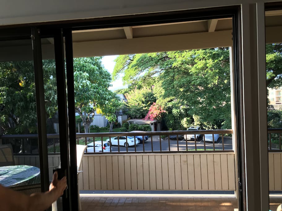 View out Lanai