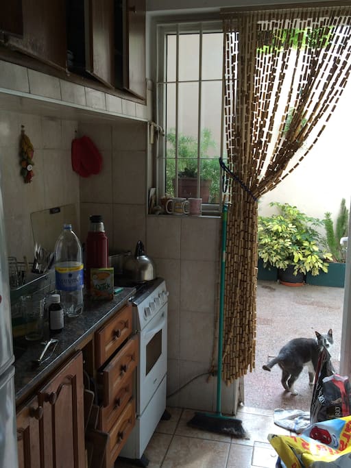 cocina muy calida, con salida a patio con parrillero