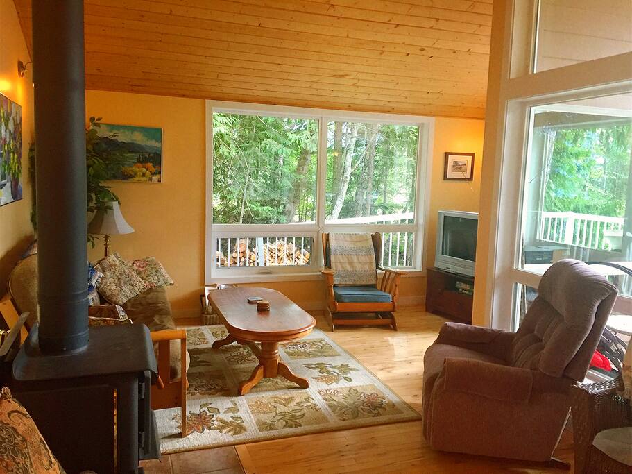 Cozy living room with wood-burning fireplace, futon and TV/DVD player.