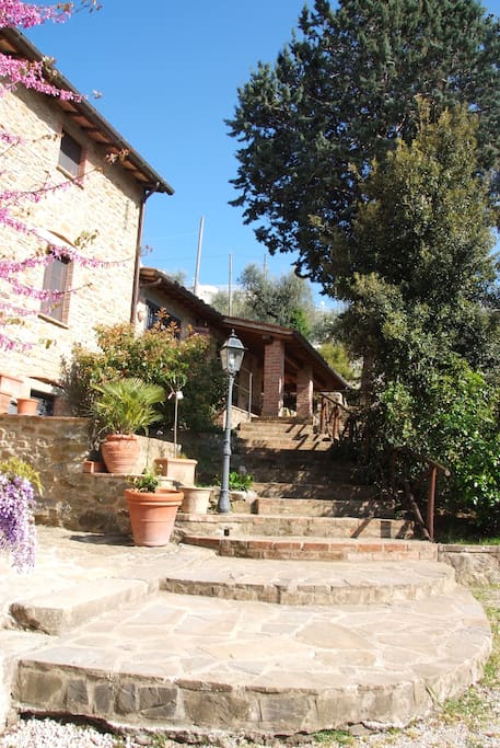 Scalinata di accesso