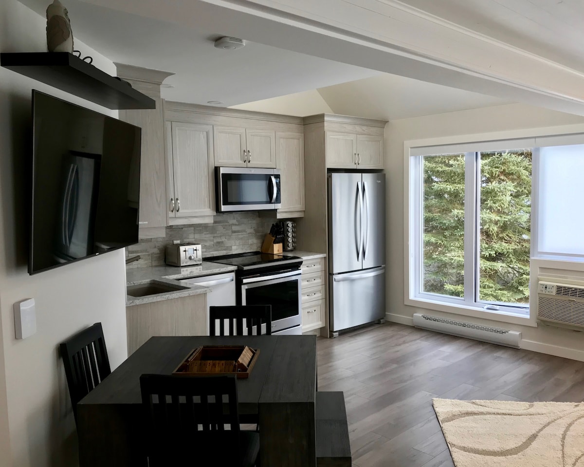 The modern kitchen area features stainless steel appliances, including a microwave and refrigerator, set against light wood cabinetry. A dining table with seating is positioned in the open space, illuminated by natural light from large windows overlooking greenery.