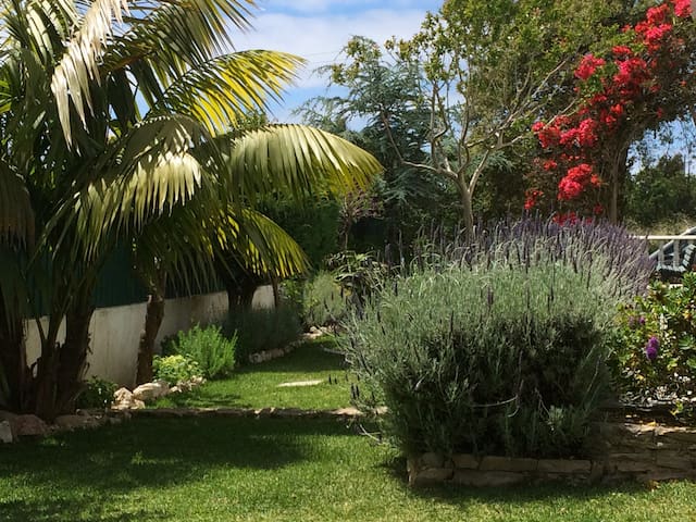 5min from Ericeira- you'll love it!