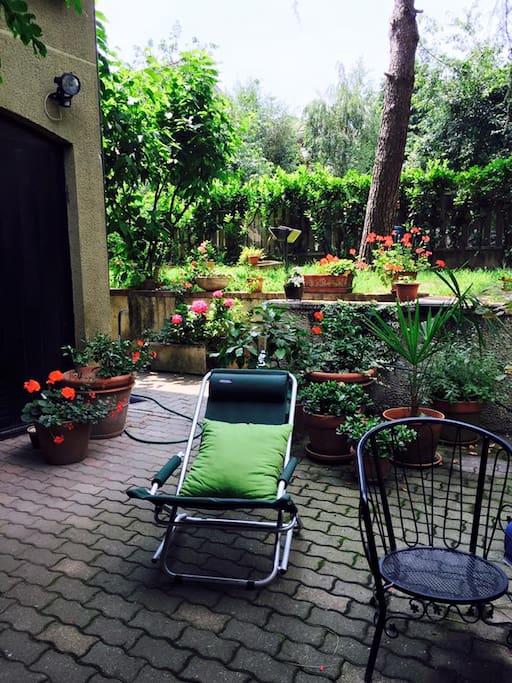 backyard garden
