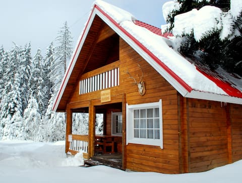Alpine ski chalet Hunters with sauna