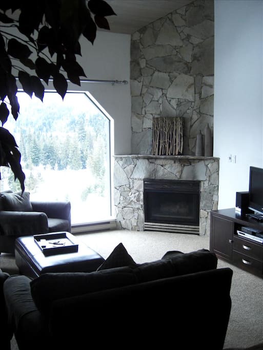 Sunken LR with gas fireplace and picturesque views,