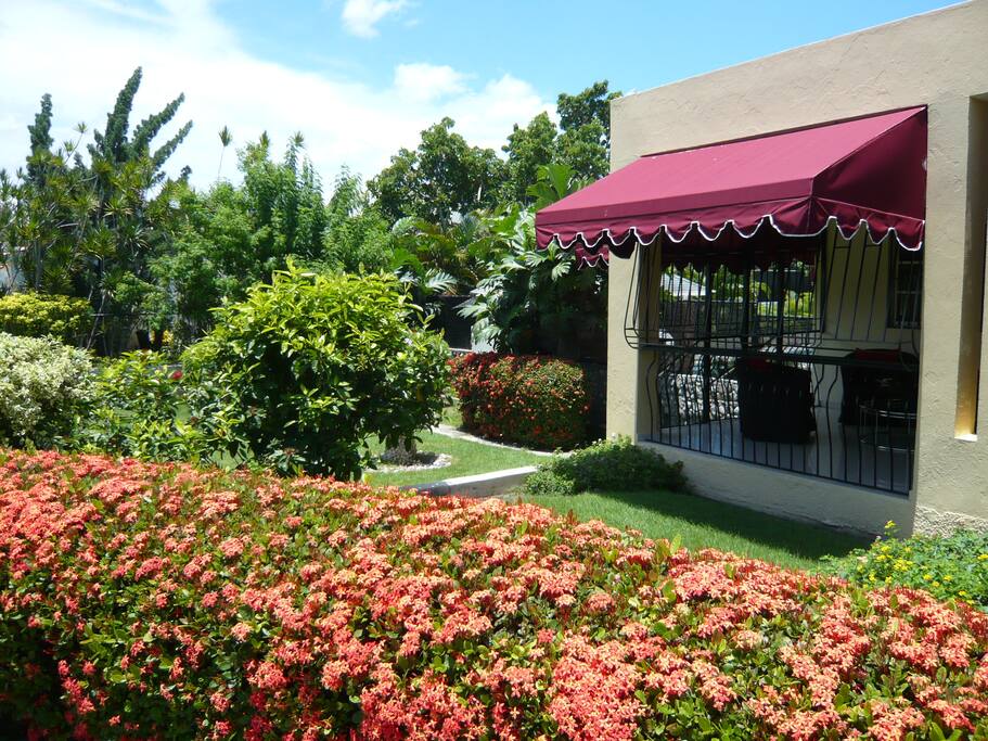 3,000m² lush tropical garden