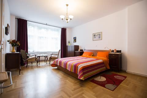 Successful Airbnb property: AHAapartman in Gornji Grad Medveščak