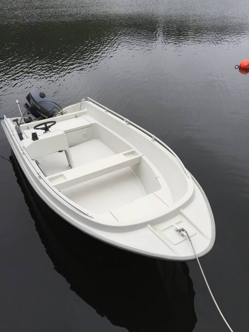 The boat