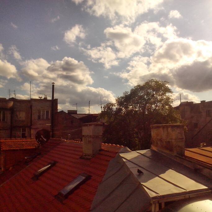 The view.