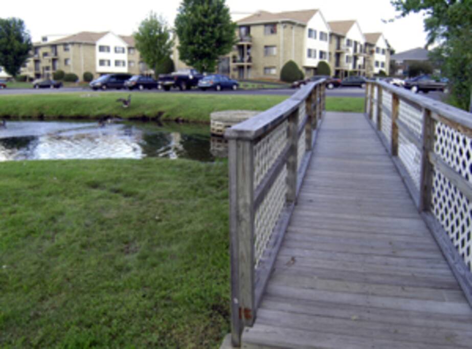 Located near small body of water, watch the ducks!