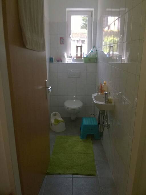 Toilet and a sink.