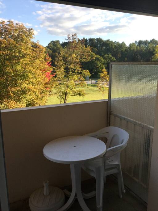 Vue du balcon