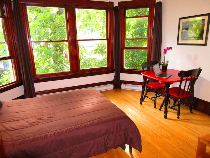 1896 (4) Studio with private bathroom & Kitchenett