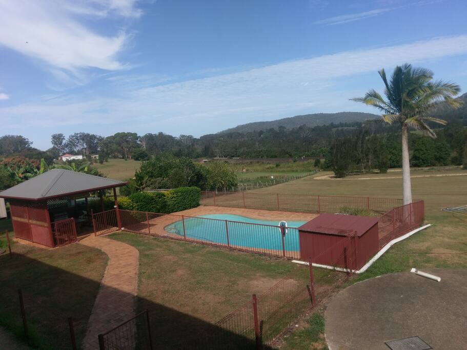 Large Pool and BBQ area. Closed in yard for pets