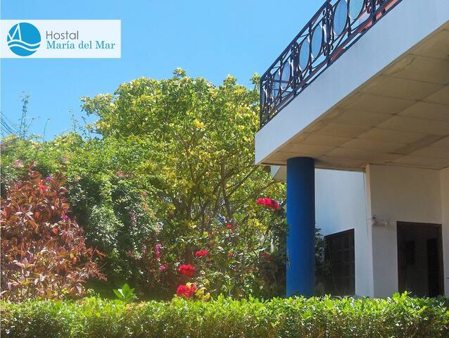 Maria Del Mar | Room 2