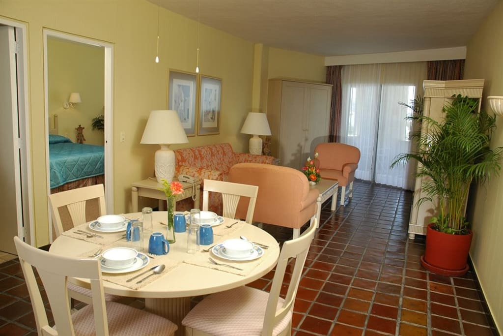 Dining Room, Living Room, Murphy Fluu-size bed, and large balcony