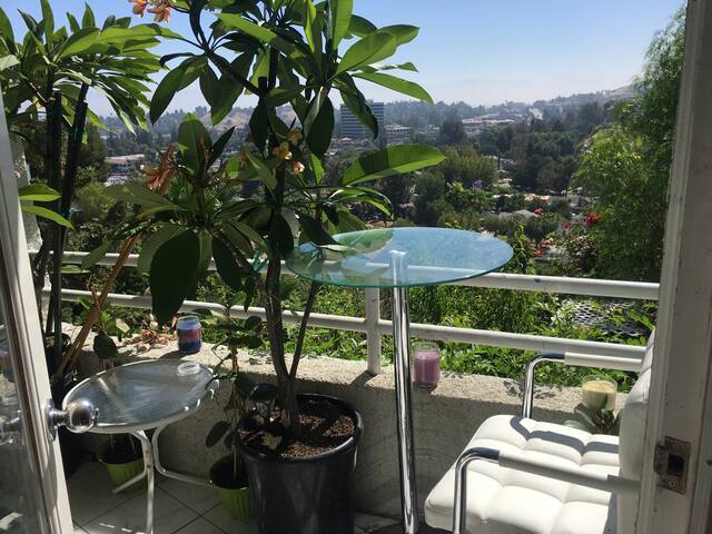 10.000sf Mansion w/cityLightsView/OnTopofTheworld gallery image 3