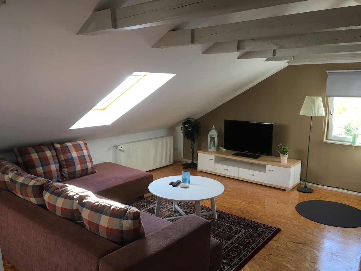 Wohnbereich mit gemütlicher Couch