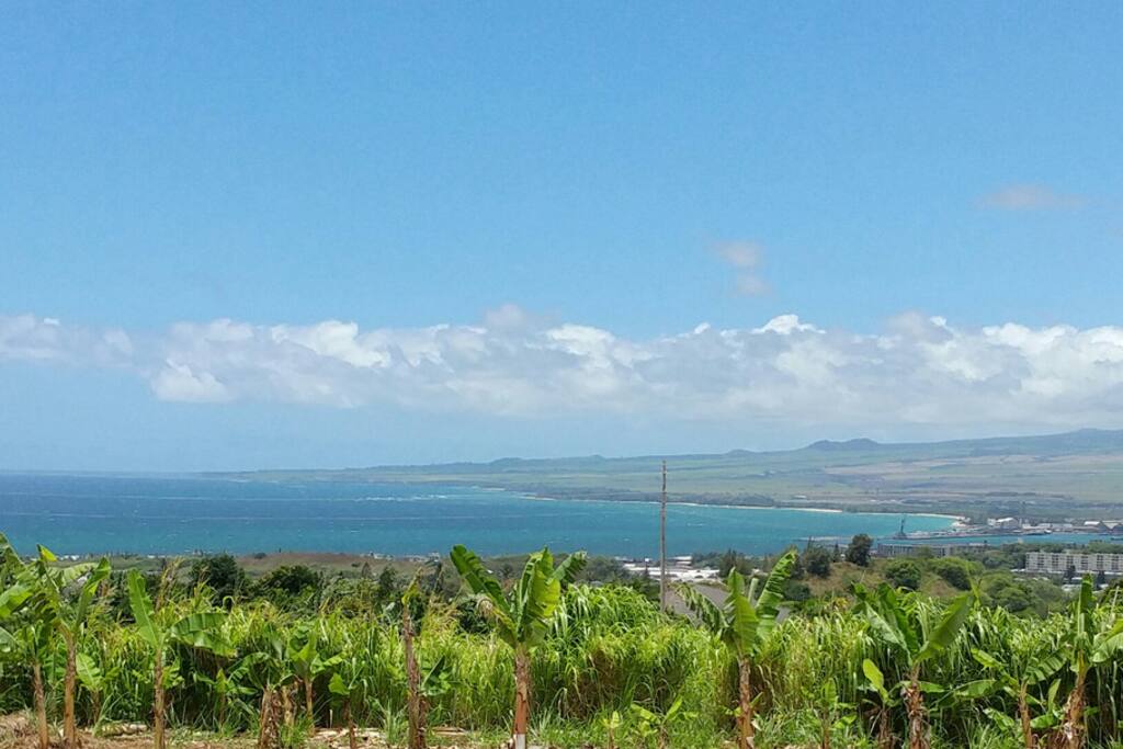 Ocean views from the property