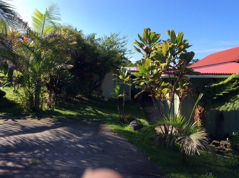 Private Ohana tucked off mauka (mountain side) or left of main home