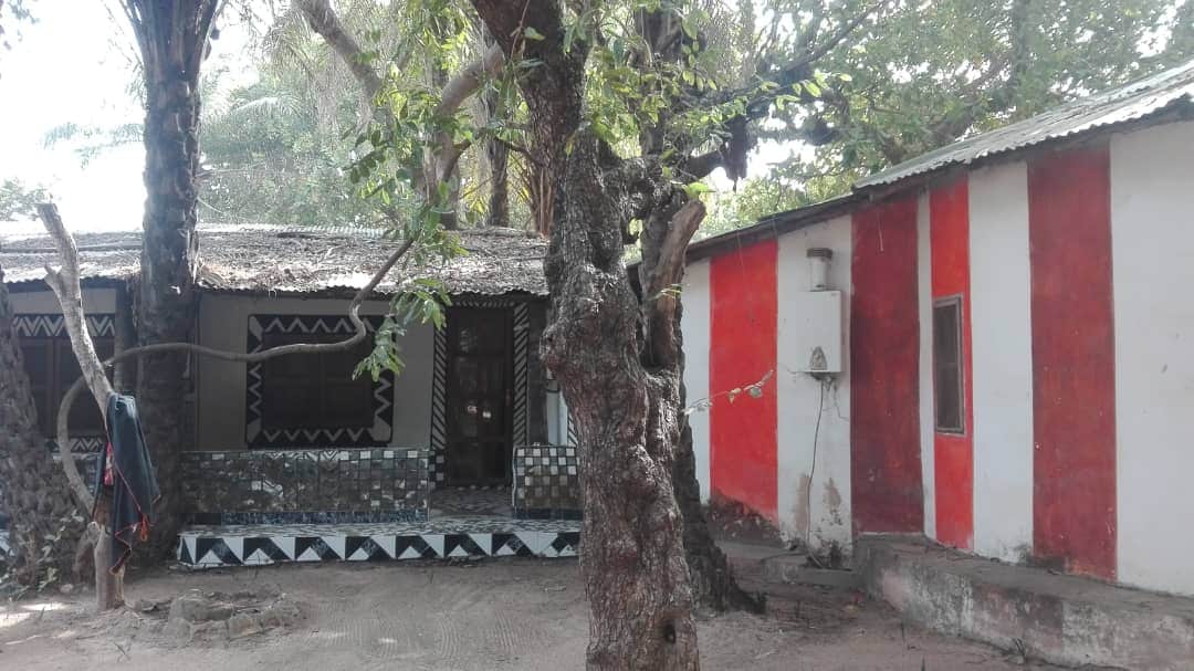 Two adobe cottages are visible under a canopy of trees. One cottage features patterned earth decorations and a shallow stone patio, while the other has a red and white exterior. A large textured tree trunk stands prominently in the foreground, enhancing the natural setting.