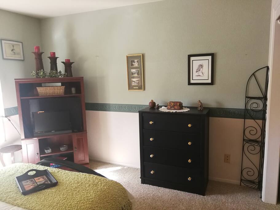 Storage/TV/Big windows to green