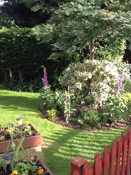 Front garden