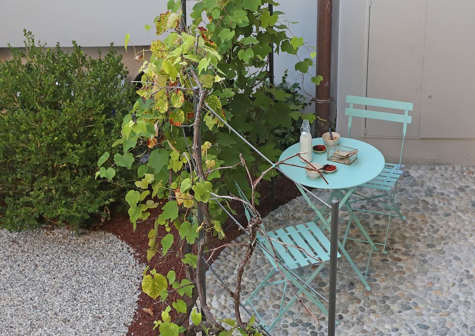 Private patio, protected by a strawberry grape vine.