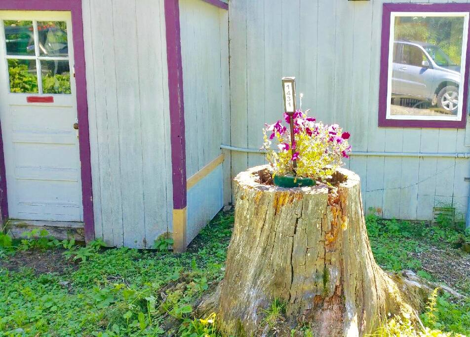 A classic old Alaska home...high on East Hill.