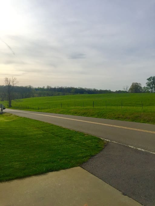 Your view includes the beautiful Tennessee countryside but with dozens of restaurants and shopping venues within minutes