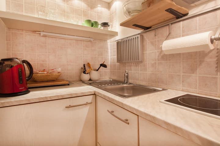 Cosy Apartment In The Heart Of Ljubljana Id:109067 - Liubliana