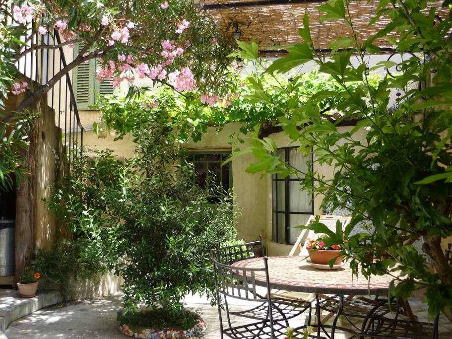 jardin
