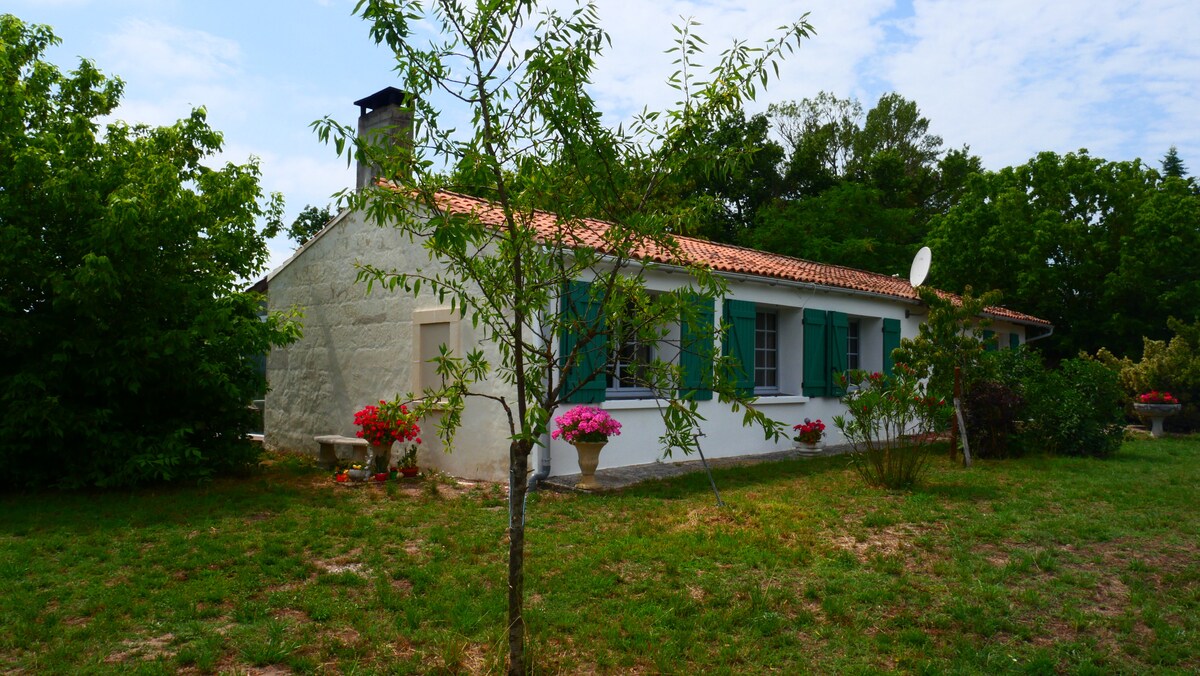 A charming countryside house is surrounded by greenery, featuring a low stone exterior and a sloped roof. The property has blue shutters and flower pots with vibrant blooms. A small tree is visible in the foreground, and a chimney is perched on the roof.