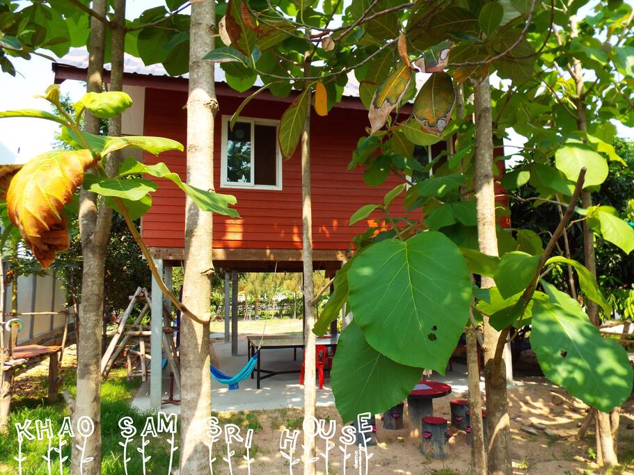 View of the house from the garden in the back.
