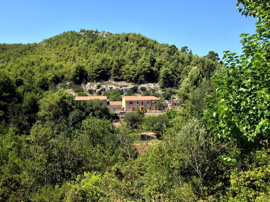 Villa Salome - Surrounded by woods - green nature and blue sky.