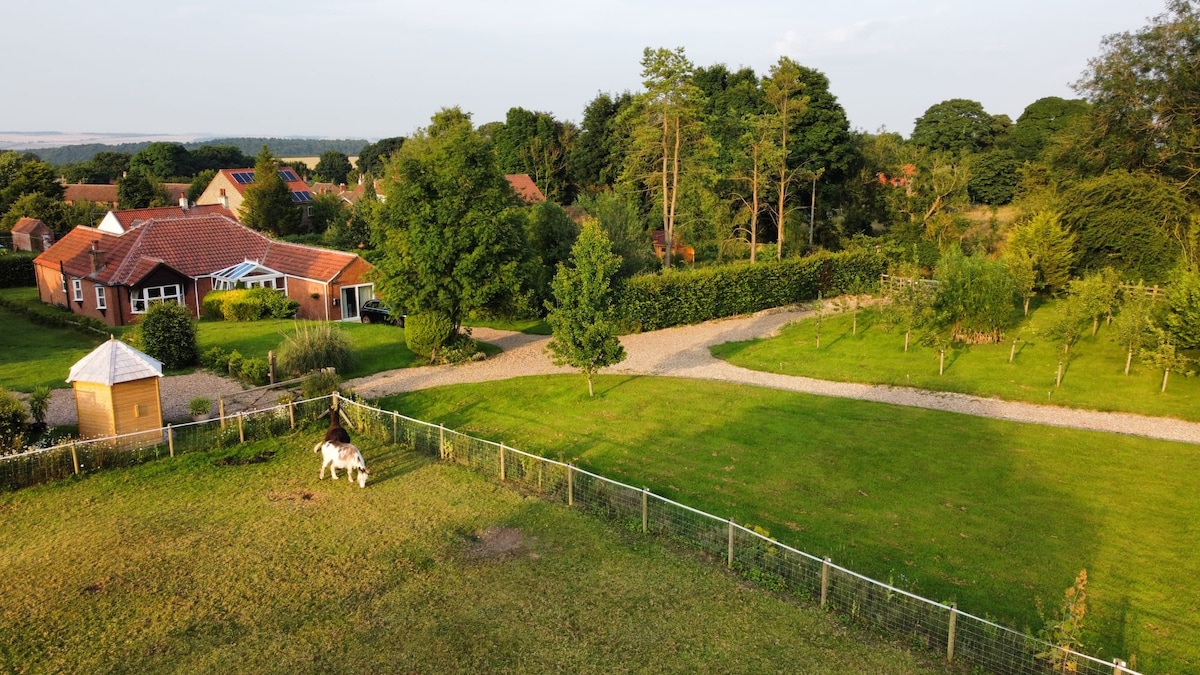 A serene view captures a spacious green garden surrounded by trees and hedges. A gravel path leads through the landscape, with a grazing horse visible near the fence. The bungalow's roof and conservatory can be seen in the background.