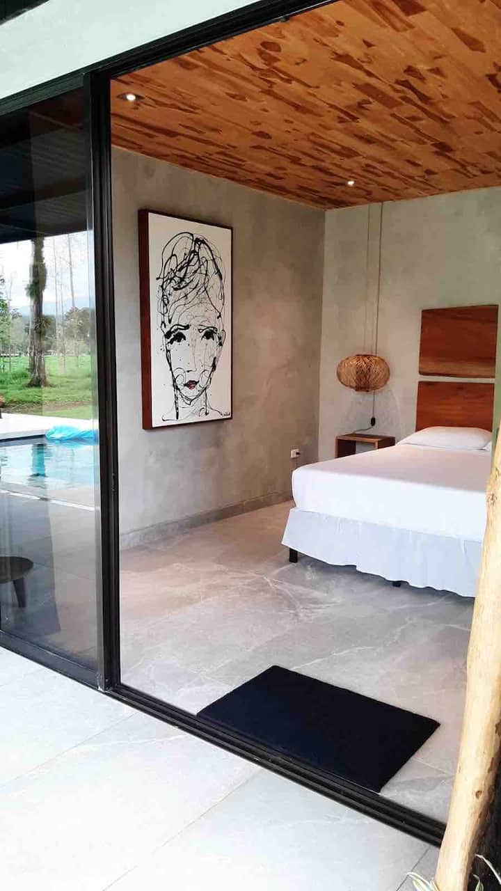 Ესპანეთის ბარსელონადან, დევიდ კალაუ ჟენეს ნახატი. 