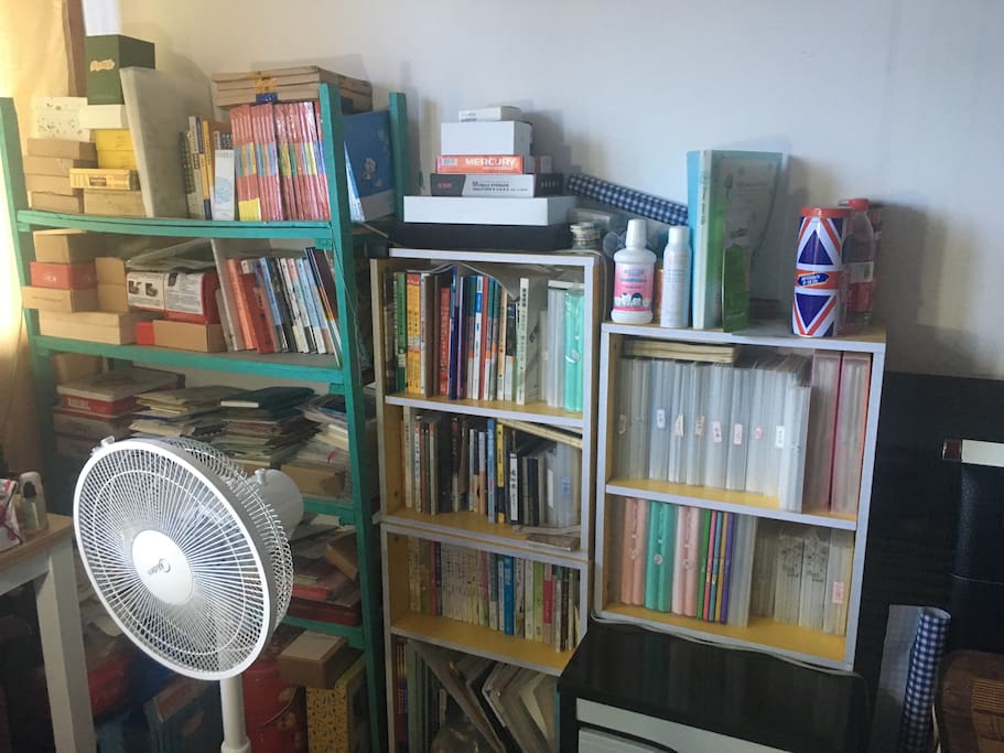 bookshelf beside the bed