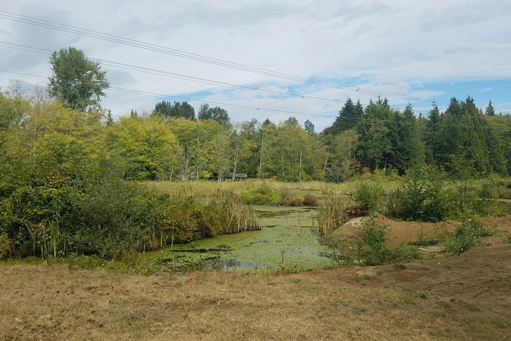 Beaver ponds near by.