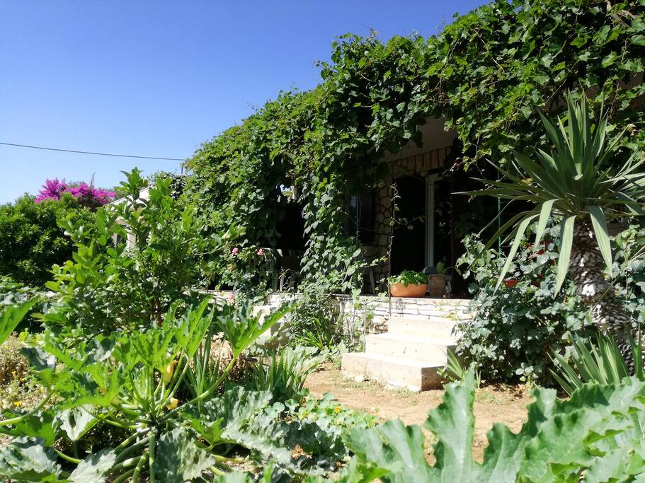 terrace