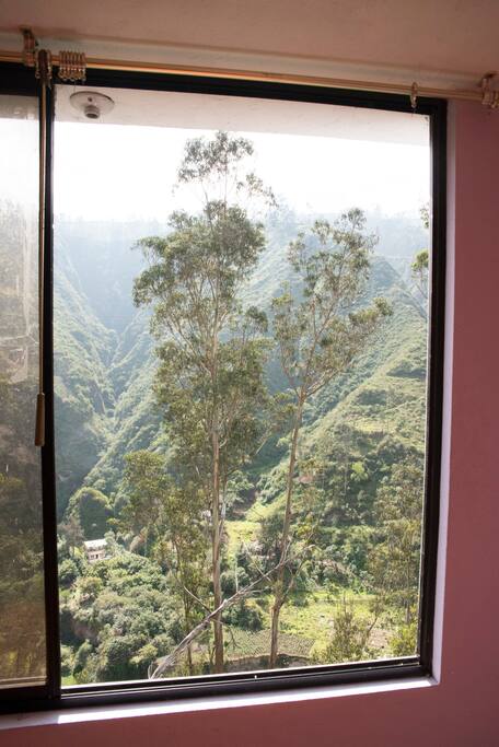 Vista desde la ventana del cuarto