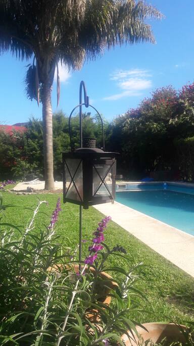 Pileta, jardin con hermosa Palmera y amplio follaje.
