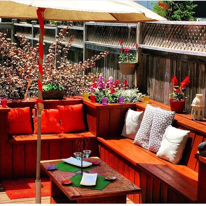 Backyard in the summer