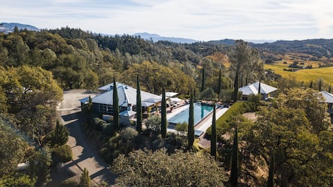 Adruni Vineyard, a Healdsburg Geyserville getaway.