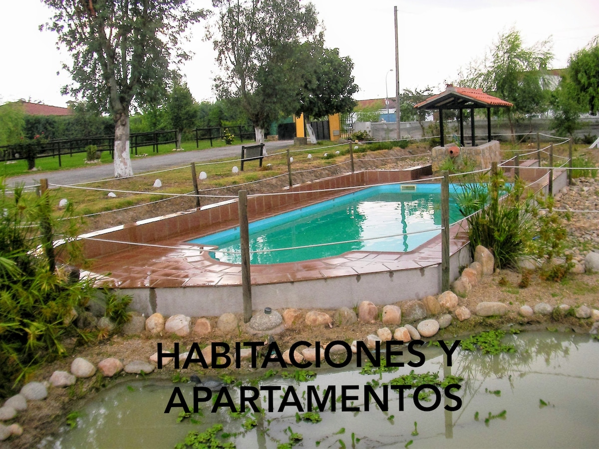 A serene outdoor area features a swimming pool surrounded by a stone pathway and lush greenery. Small rocks outline the pool, while a gazebo provides shaded seating. The setting is enhanced by the presence of trees and well-maintained landscaping, creating an inviting space.