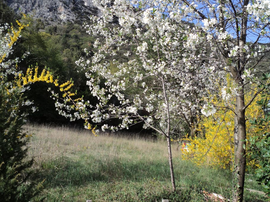 giardino