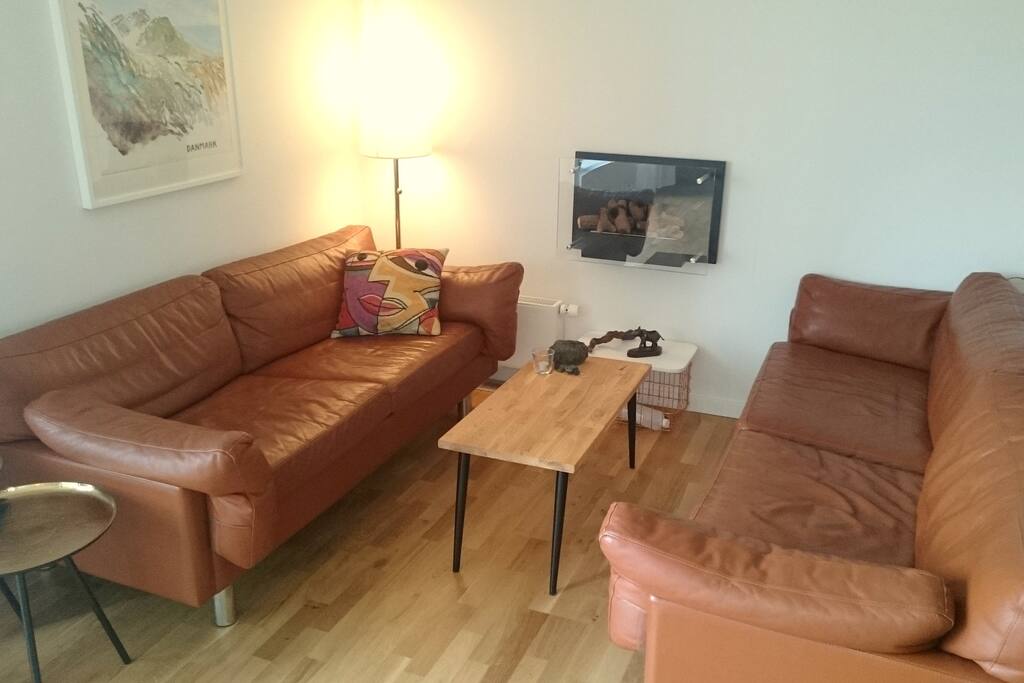 Livingroom area with sofas comfortable for sleeping on